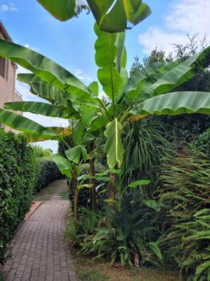 Nice Studio 30 M With Terrace And Pool Antibes Zewnętrze zdjęcie